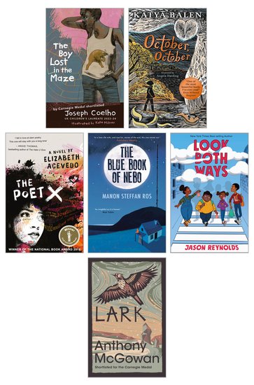 The Carnegie Medal Past Winners 2010-2024 Pack