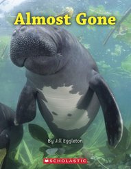 Connectors Turquoise