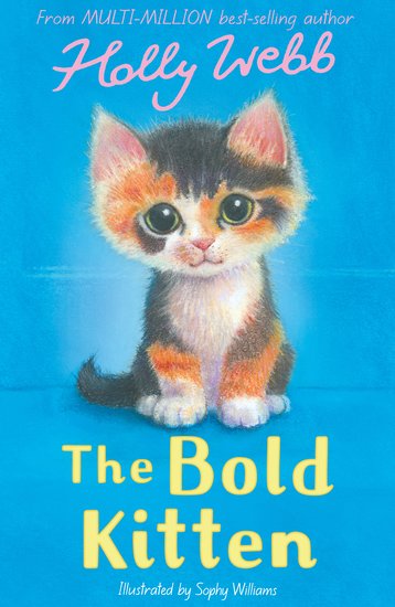 The Bold Kitten