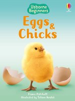 Eggs and  Chicks