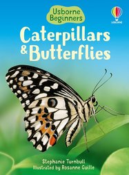 Caterpillars and Butterflies