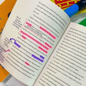 An open inside page of one of the GCSE Annotation Set Texts that has been annotated. An open inside page of one of the GCSE Annotation Set Texts that has been annotated.