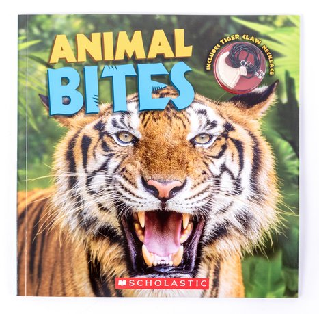 ANIMAL BITES - UPDATE F25