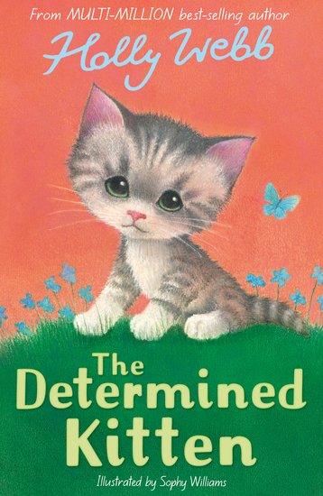 Holly Webb Kitten Pack