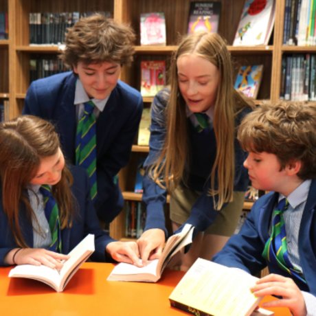 Carnegie image 2 Carnegie image 2