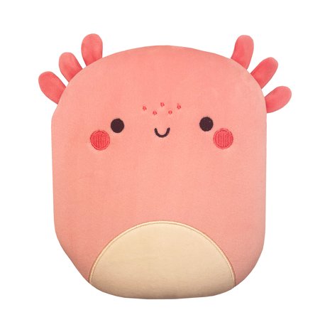Squish and Snuggle Axolotl Journal