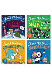 David Walliams 4 Book Set