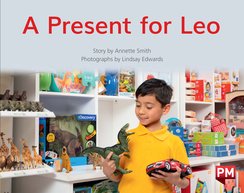 PM Yellow Level 7 Book Set B (7 Books)