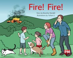 PM Yellow Level 8 Book Set A x6 (78 Books - 6 copies of 13 books)