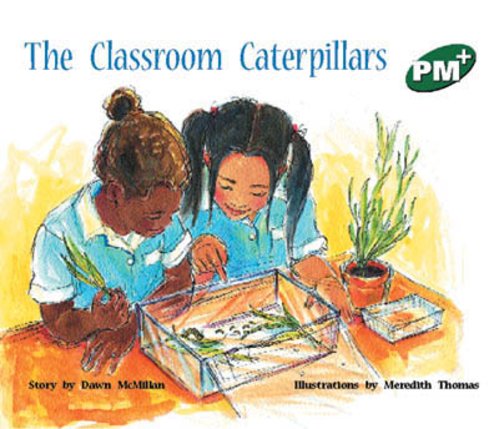 PM Green Level 13 Book Set A (13 Books)