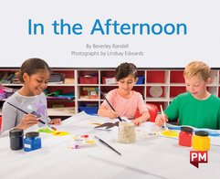 PM Green Level 14/15 Book Set B (4 Books)