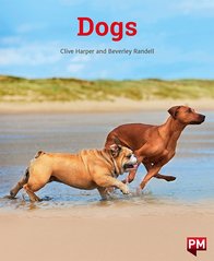 PM Orange Level 15/16 Book Set B x6 (24 Books - 6 copies of 4 books)