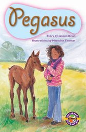 PM Ruby Level 27/28 Book Set B x6 (24 Books - 6 copies of 4 books)