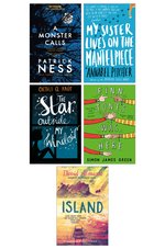 Key Stage 3 & 4: Books about Grief and Loss Collection 5 Book Set