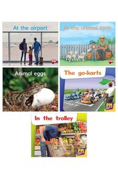 PM Magenta Level 2 Book Set A (13 Books)