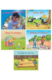 PM Magenta Level 2, 3 Book Set A (6 Books)