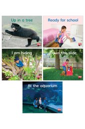 PM Magenta Level 2 Book Set B x6 (42 Books - 6 copies of 7 books)