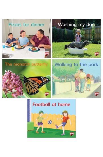 PM Magenta: PM Alphabet and Wordless Texts Book Set x 6 (x6 of 5 Books + each alphabet book)