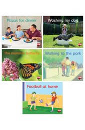 PM Magenta: PM Alphabet and Wordless Texts Book Set x 6 (x6 of 5 Books + each alphabet book)