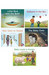 PM Red Level 4 Book Set A (13 Books)