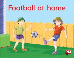 PM Magenta: PM Alphabet and Wordless Texts Mixed Pack (5 wordless books + 60 alphabet books)