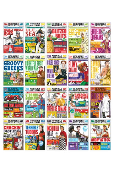 Horrible Histories 20 Book Set
