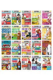 Horrible Histories 20 Book Set