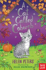 Cat Called Cobweb