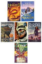 Fiction to Challenge 11+ Set